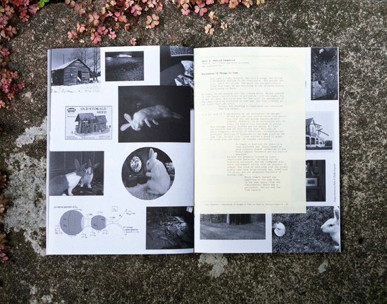 Time-Capsules-Catalogue-A16