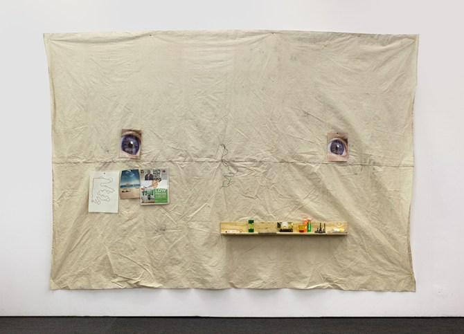 eye-monster (2013), mixed media, 260 x 394 x 17 cm